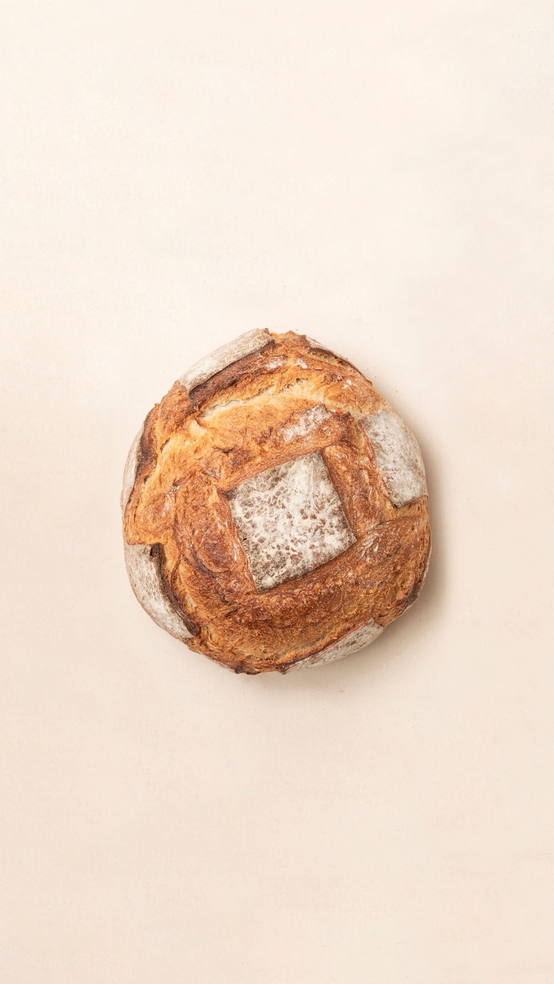 Pan de Trigo 100%