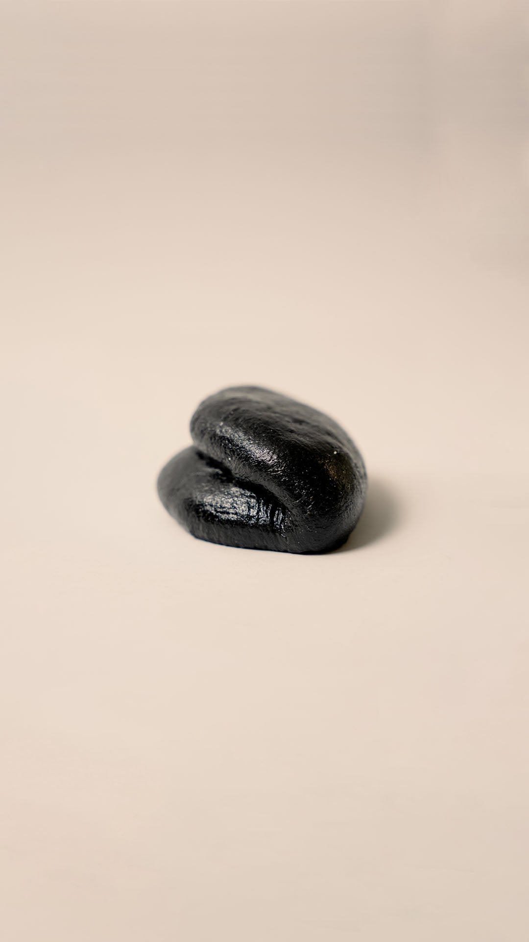 Pan Bao Negro
